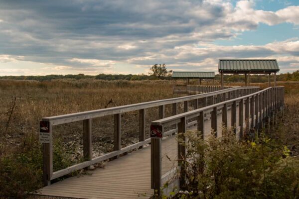 Hiking at the John Heinz National Wildlife Refuge in Philadelphia, Pennsylvania.