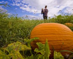 9 Great Things to Do in Pennsylvania in September