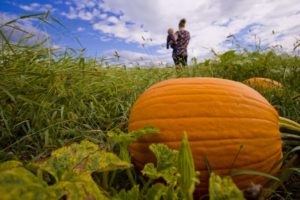 10 Great Things to Do in Pennsylvania in September