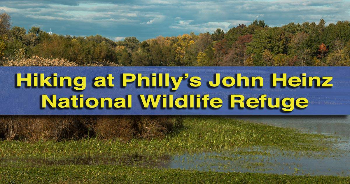 Exploring the Scenic Hiking Trails at John Heinz National Wildlife