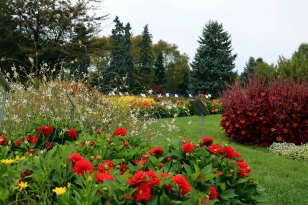 Test beds at Hershey Gardens