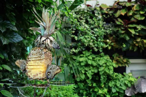 Butterfly Atrium in Hershey Gardens