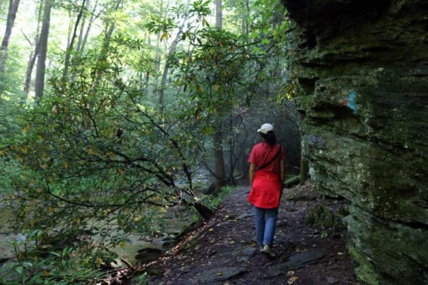 Tucquan Glen Nature Preserve