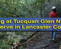 Hiking in Tucquan Glen Nature Preserve in Lancaster County