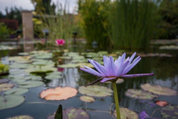 Things to do at the Arboretum at Penn State in Pennsylvania