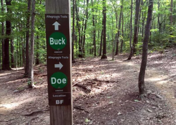 Deer Trails at the Allegrippis Trails in Huntingdon County, Pennsylvania