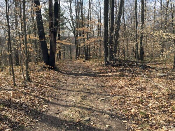 Trail to Choke Creek Falls in Pennsylvania