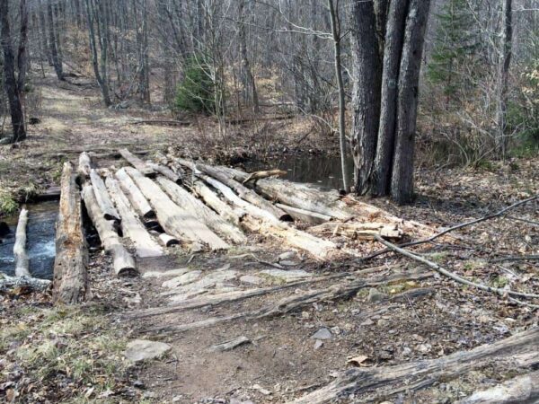 Pichot State Forest in Pennsylvania