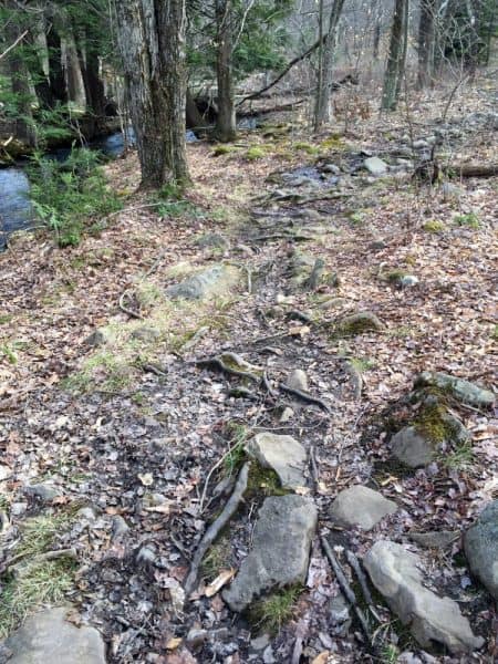 Pinchot Trail to Choke Creek Falls in Lackawanna County, Pennsylvania