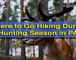 Where to Go Hiking During Hunting Season in Pennsylvania