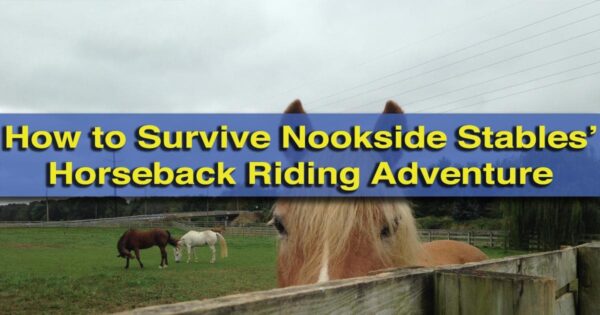 Nookside Stables Horseback Riding Adventure in Lancaster County, PA