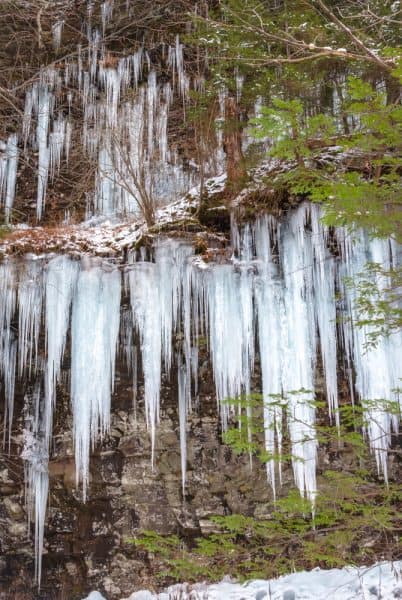 Icicles on the Falls Trail at Ricketts Glen State Park