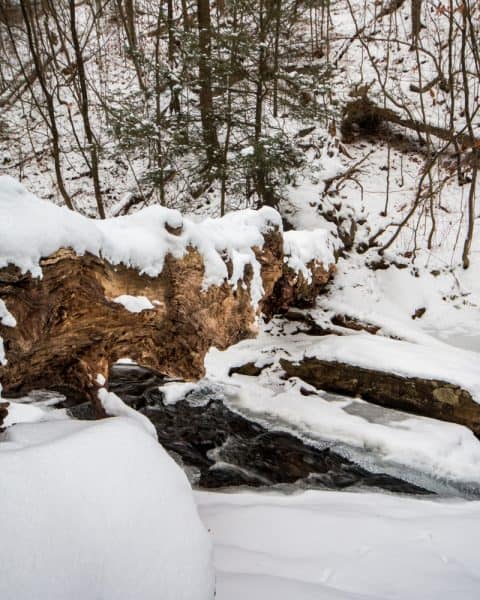 Winter at Ricketts Glen State Park