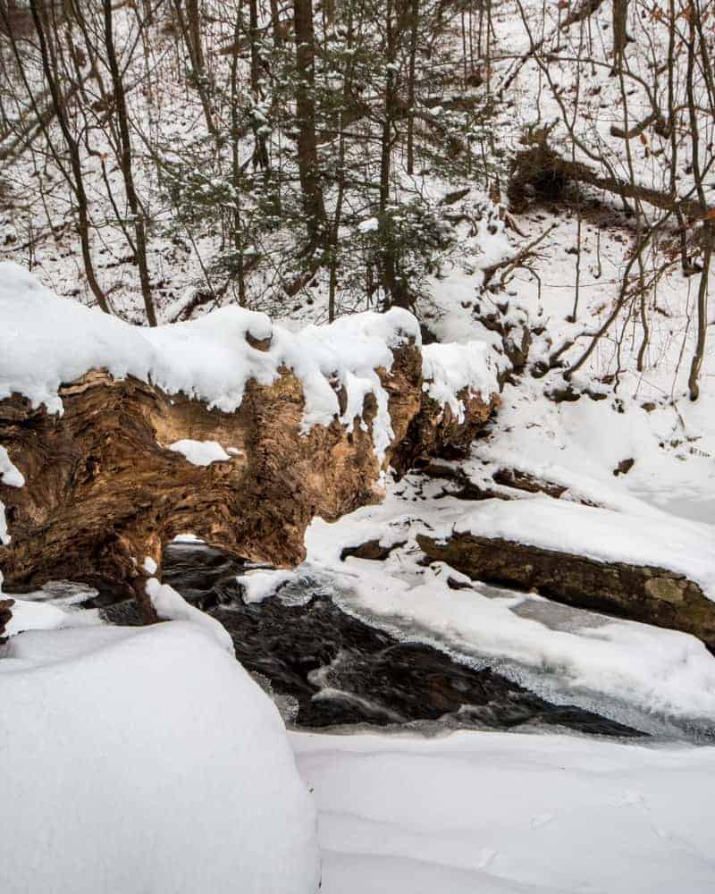 Winter Waterfall Ice Hiking at Ricketts Glen State Park