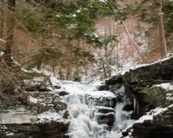 9 Great Things to Do in Pennsylvania in February