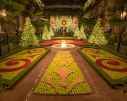 Experiencing the Magic of Christmas at Longwood Gardens