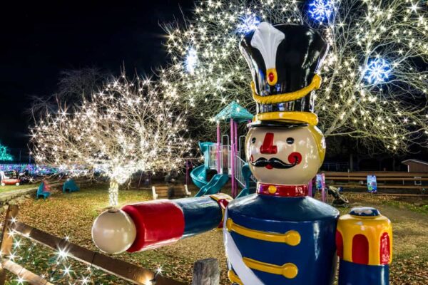 Winter Light Spectacular at the Lehigh Valley Zoo