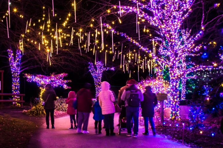 Strolling Through the Festive Winter Light Spectacular at the Lehigh Valley Zoo Uncovering PA