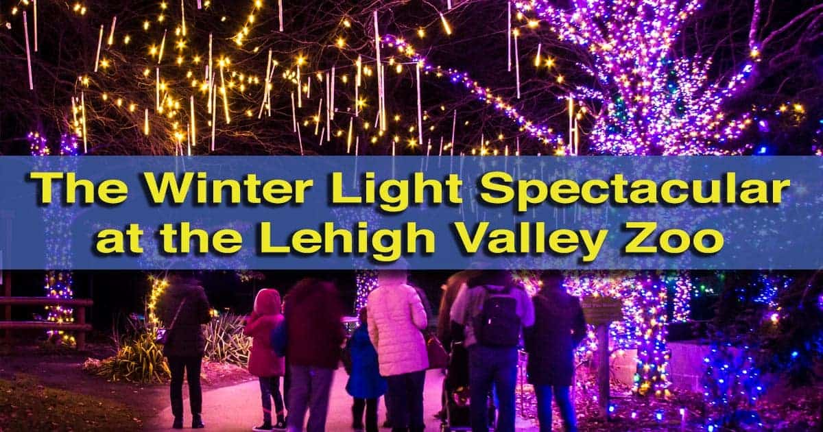 Strolling Through the Festive Winter Light Spectacular at the Lehigh Valley Zoo - UncoveringPA