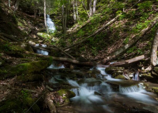 Waterfalls in the Pennsylvania Wilds: Water Tank Run Falls