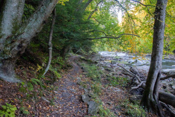 Breakneck Falls Trail next to Slippery Rock Creek in McConnells Mill State Park