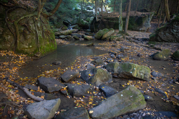 Cheeseman Run in McConnells Mill State Park in Lawrence County PA