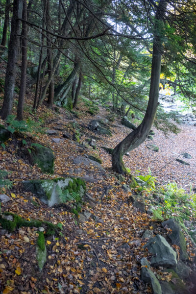 Another view of the Breakneck Falls Trail in McConnells Mill State Park in Lawrence County PA