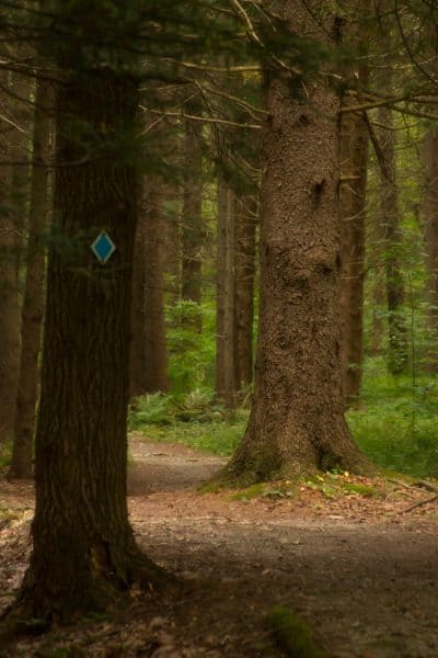 Hiking in Kooser State Park