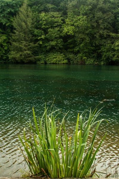 Kooser Lake in Somerset County, PA