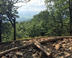Everything You Need to Know for a Great Mount Nittany Hike