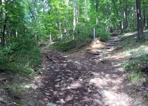 Trails on Mount Nittany in Centre County, Pennsylvania