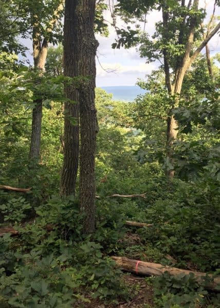 Mount Nittany Hike in State College, Pennsylvania