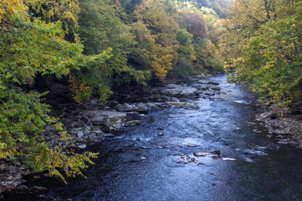 Slippery Rock Creek from Eckert Bridge near the Breakneck Falls Trailhead.