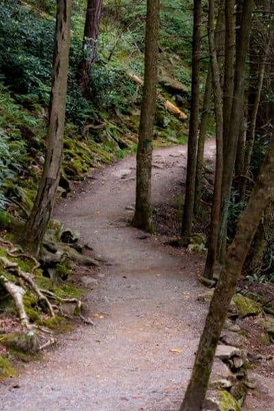 Hiking Trail in Trough Creek State Park near Raystown Lake.