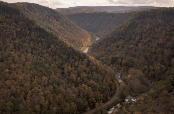 Fall Foliage in the PA Grand Canyon of Tioga County, Pennsylvania