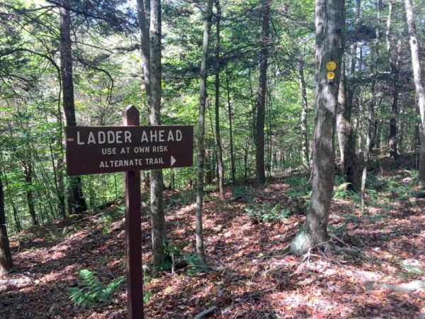 Ladder at Rode Falls on the Loyalsock Trail