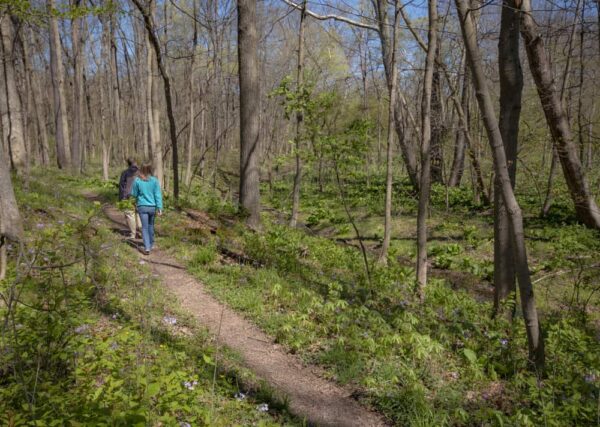 People hiking in Raccoon Creek State Park