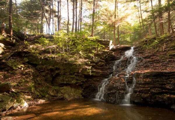 Ketchum Run Falls in Loyalsock State Forest