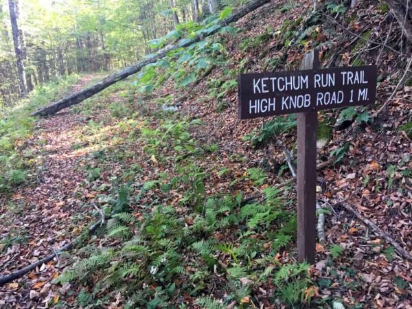 Ketchum Run Trail in Loyalsock State Forest.