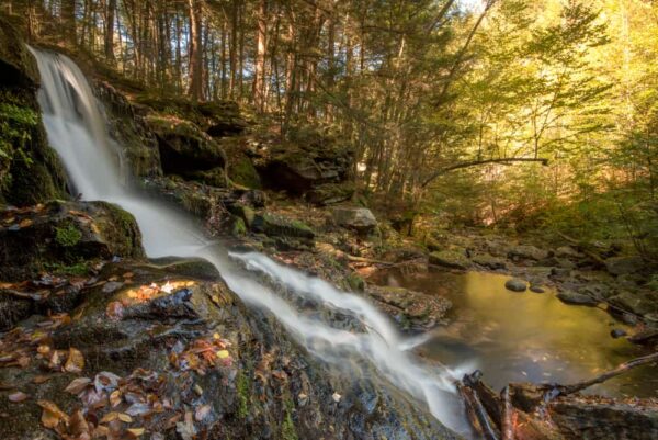 Lee Falls in Sullivan County, Pennsylvania