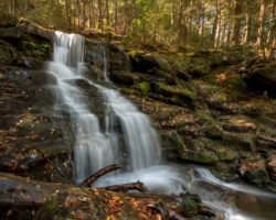 Pennsylvania Waterfalls: Hiking to the Ketchum Run Gorge Waterfalls in Loyalsock State Forest