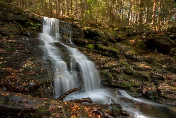 Lee Falls on the Loyalsock Trail in the Endless Mountains of PA