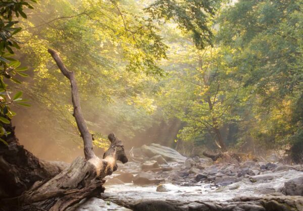 Meadow Run Ohiopyle State Park Photography Workshop