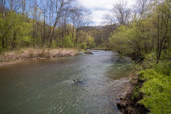 Raccoon Creek in the spring