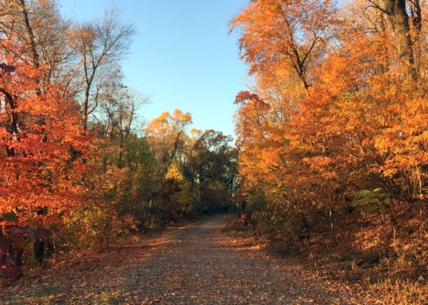 Trail to Chickies Rock near Columbia, Pennsylvania