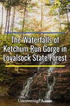 Ketchum Run Gorge Waterfalls in Loyalsock State Forest