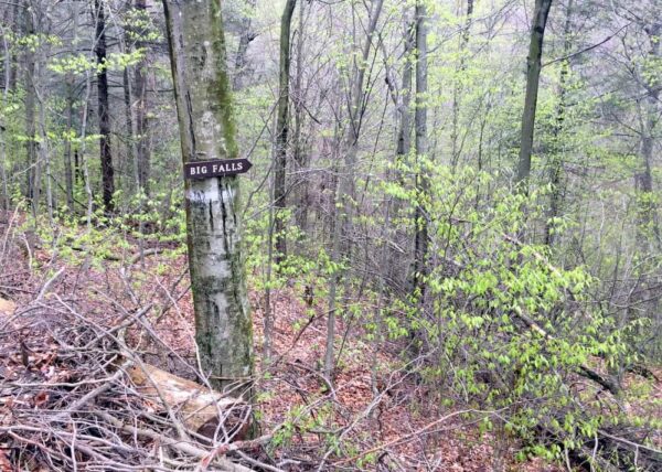 Big Falls Sign on Grassy Hollow Road in SGL 13