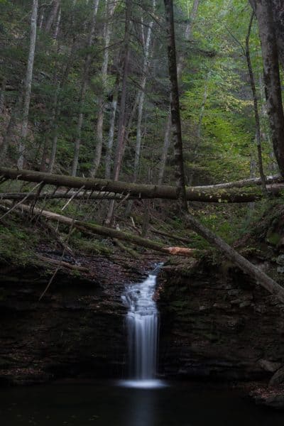 Cottonwood Falls in Worlds End State Park