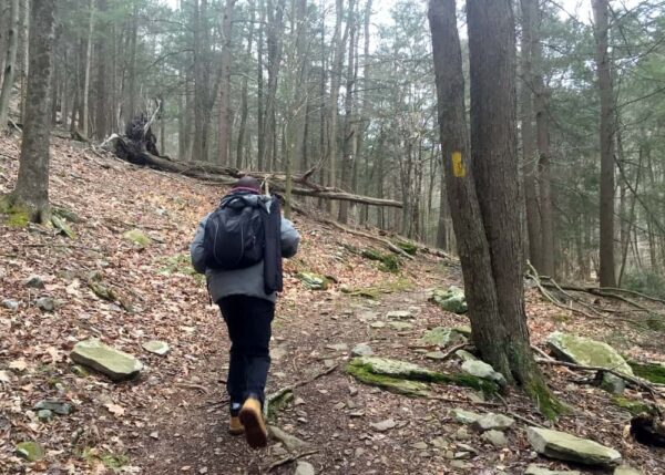 Hiking the Jacoby Falls Trail in Loyalsock State Forest.