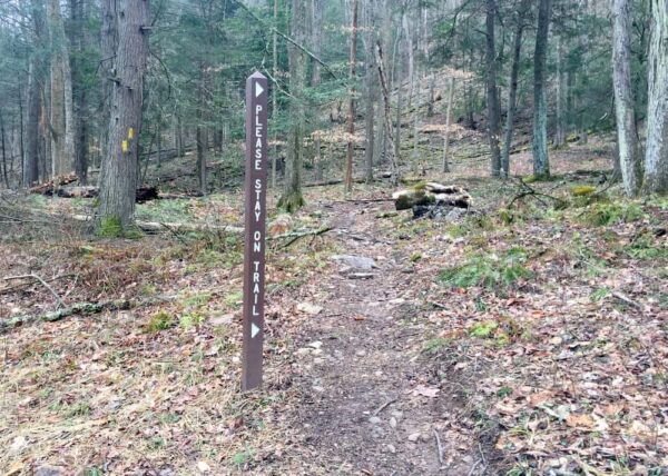 Hiking the Jacoby Falls Trail